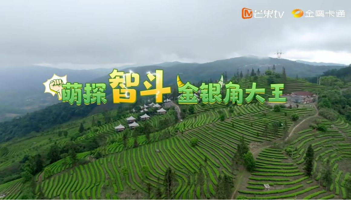 ��ҳ| �Ƿ�����2121�����ٷ���վ