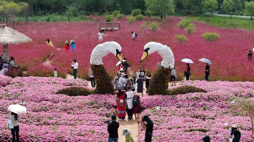 ��ҳ| �Ƿ�����2121�����ٷ���վ