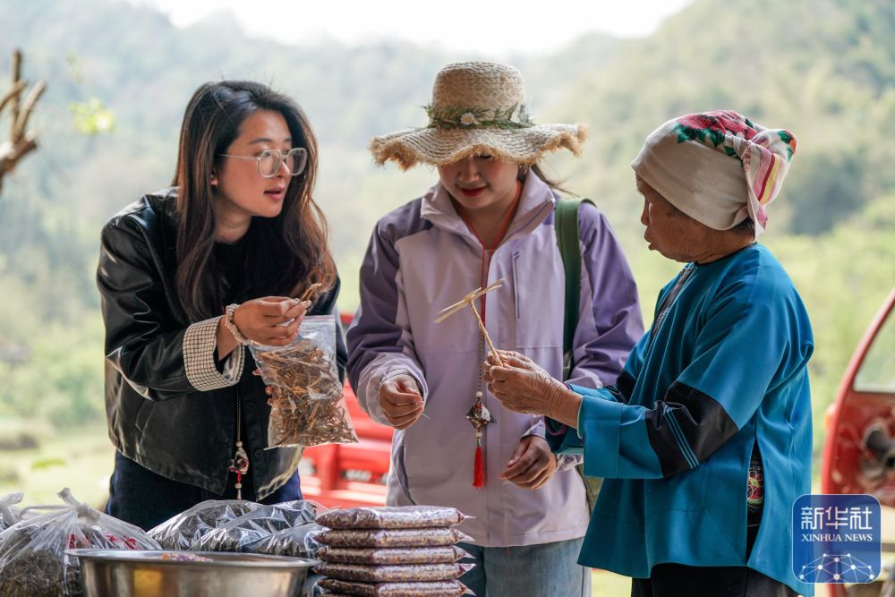 1774232806115 1774232806115