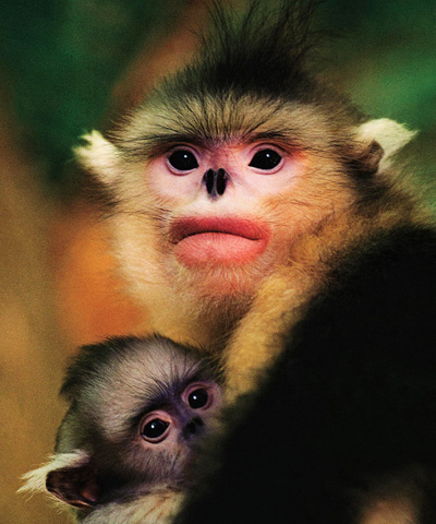 ��ҳ| �Ƿ�����2121�����ٷ���վ