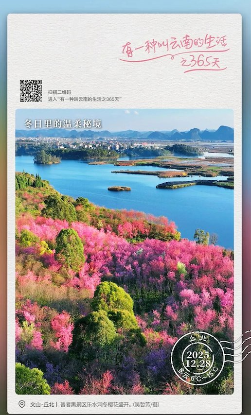 ��ҳ| �Ƿ�����2121�����ٷ���վ